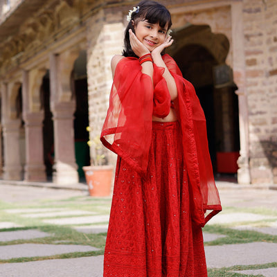 Kai Embroidered Lehenga Set