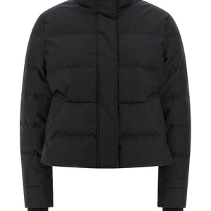 Alexander McQueen Cropped Down Jacket