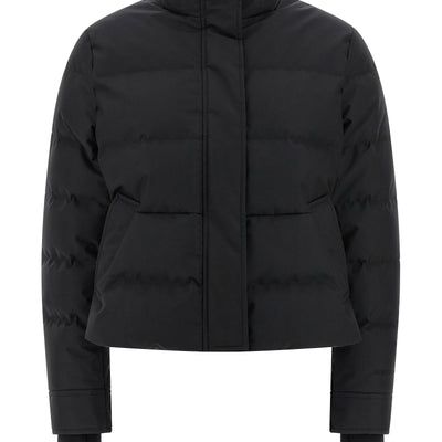 Alexander McQueen Cropped Down Jacket