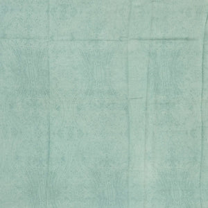 Light Blue Handloom Chanderi Cotton Saree With Printed Floral Vine Motif