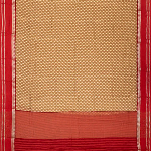 Dark Beige Chanderi Cotton Saree With Printed Mango Motifs