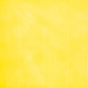 Light Green Woven Digital Printed Chiffon Silk Saree With Floral Motifs