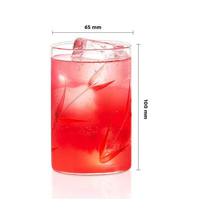 Borosil Bouquet Vision Drinking Glass 295 ml |Transparent |  Set of 6 pcs