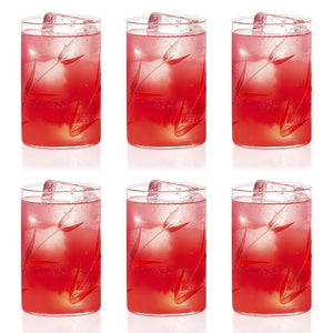 Borosil Bouquet Vision Drinking Glass 295 ml |Transparent |  Set of 6 pcs