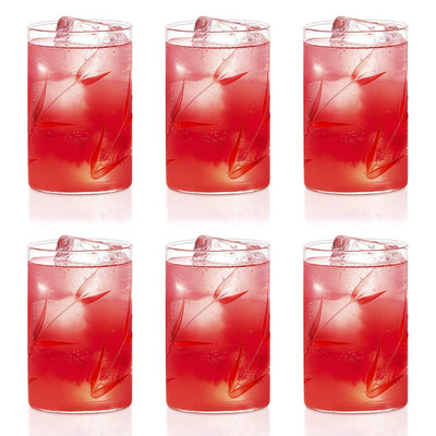 Borosil Bouquet Vision Drinking Glass 295 ml |Transparent |  Set of 6 pcs