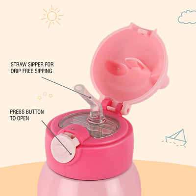 Toddy Hot & Cold Stainless Steel Kids Water Bottle, 550ml