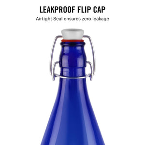 Aquaria Glass Water Bottle, 1000ml