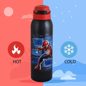 Gym-Star Toons Hot & Cold Stainless Steel Kids Water Bottle, 650ml