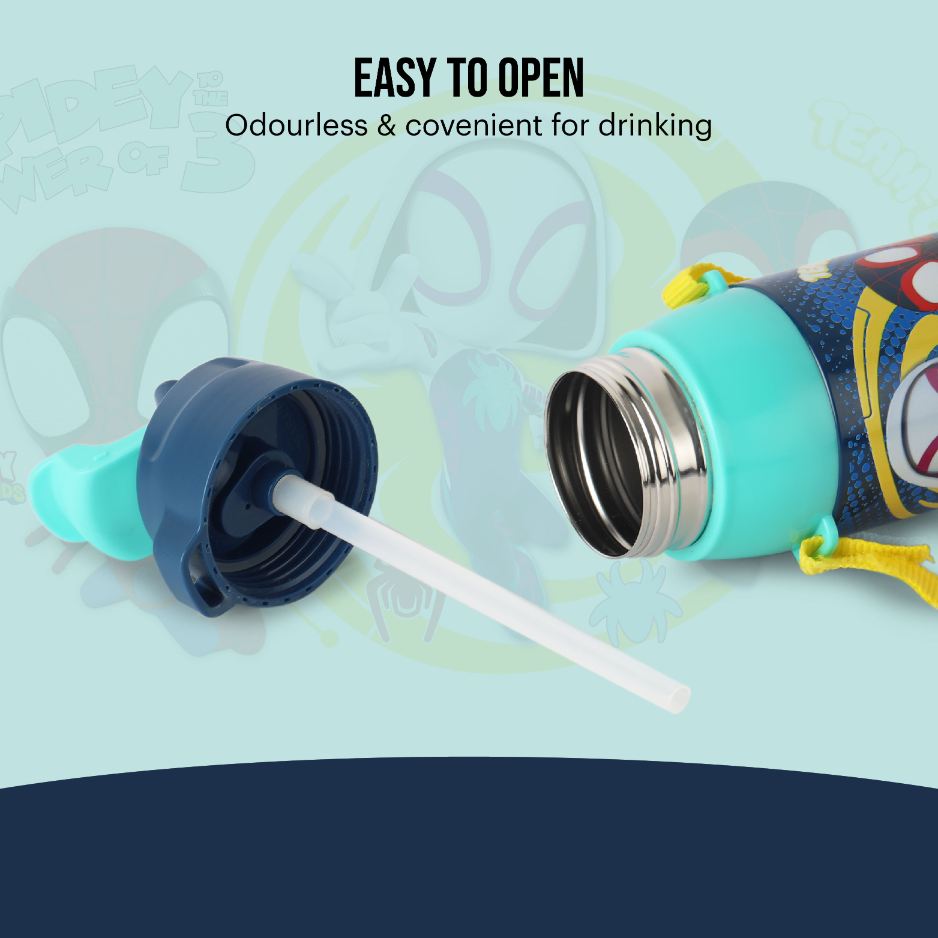 Era  3D Design Insulated Kids Water Bottle, 400ml