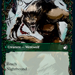 Bird Admirer // Wing Shredder [298] [Equinox Showcase] [Innistrad: Midnight Hunt] [Non-Foil]