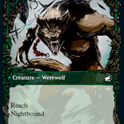 Bird Admirer // Wing Shredder [298] [Equinox Showcase] [Innistrad: Midnight Hunt] [Non-Foil]