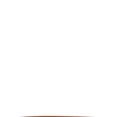 Fendi Ff Belt