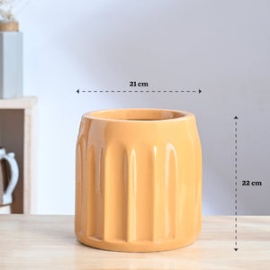 Blushing Sun Ceramic Planter