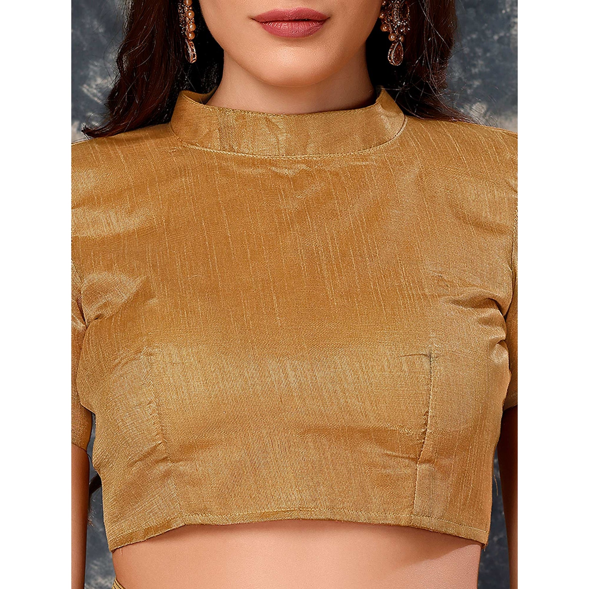 Chikoo Zari Printed Cotton Silk Saree Lace Border