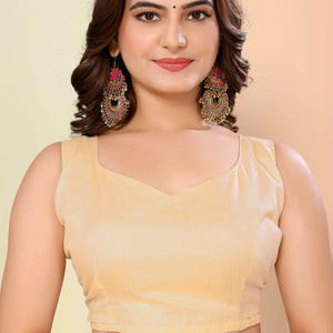 Chikoo Floral Embroidered Net Saree