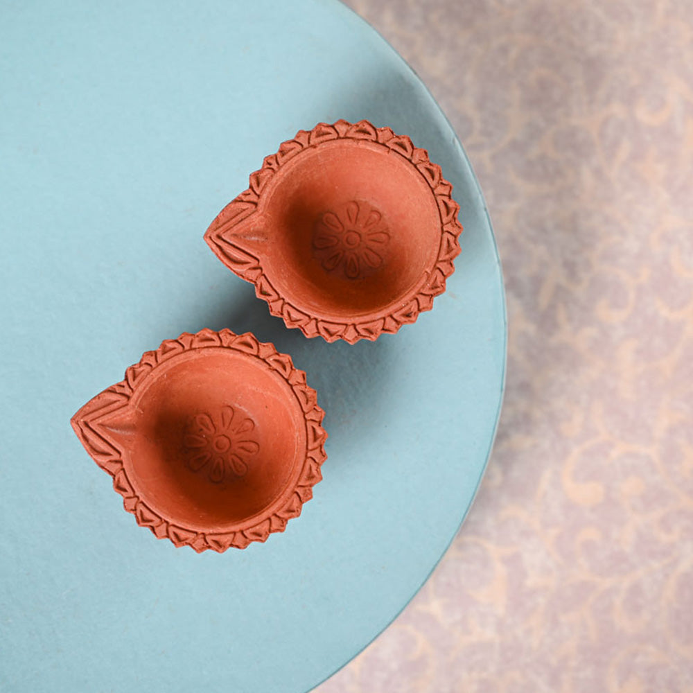 Money Plant Variegated & Phool Diwali Gift Hamper