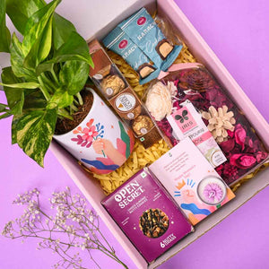 Variegated Money Plant Elegance Women's Day Gift