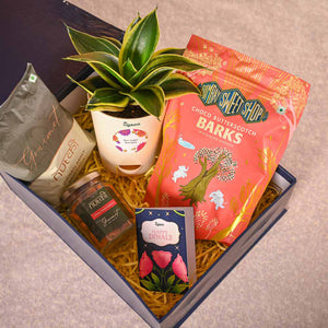 Snake Plant & Bombay Sweet Shop Diwali Gift Hamper