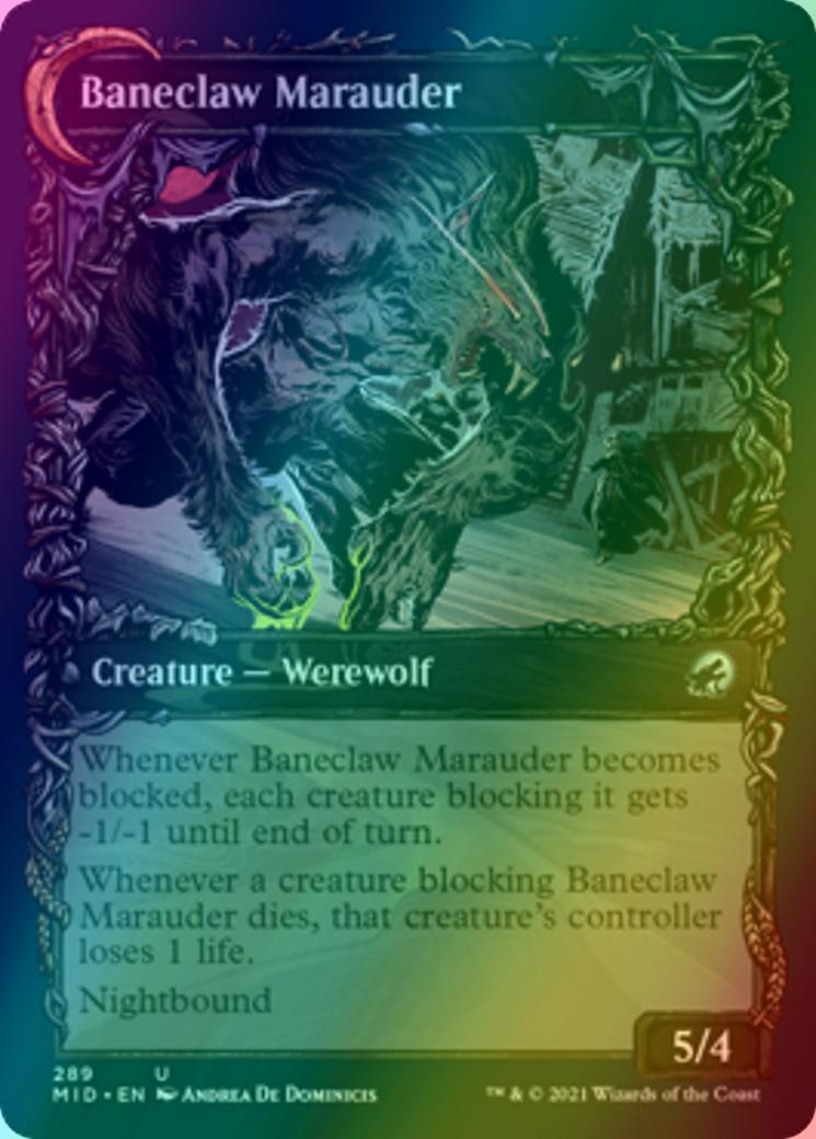 Baneblade Scoundrel // Baneclaw Marauder [289] [Equinox Showcase] [Innistrad: Midnight Hunt] [Foil]