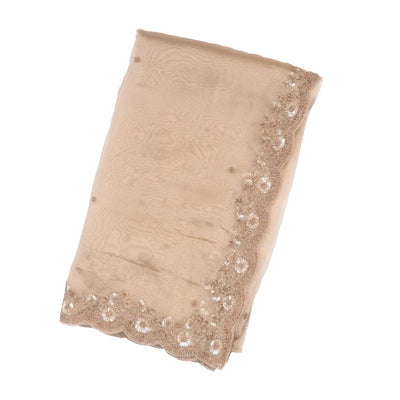 Taupe Woven Banarasi Glass Tissue Saree Embroidered With Floral Motifs