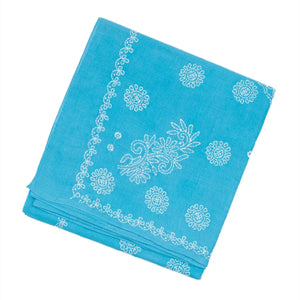Sky Blue Chikankari Embroidered Cotton Saree With Floral Motifs