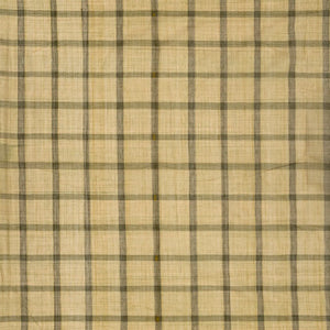 Shadow Green Handloom Kadapa Cotton Saree With Checks