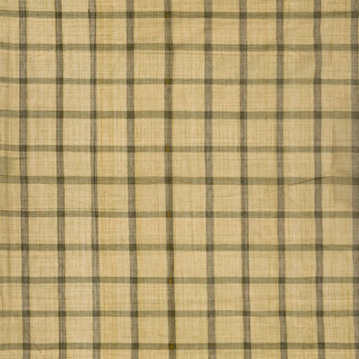 Shadow Green Handloom Kadapa Cotton Saree With Checks