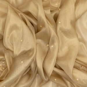 Taupe Woven Organza Saree With Sequin Embroidery