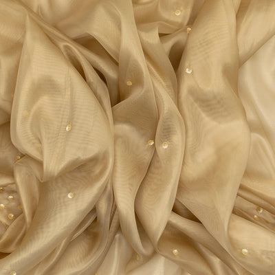 Taupe Woven Organza Saree With Sequin Embroidery