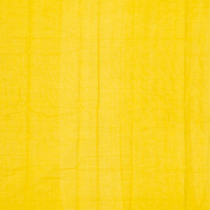 Lemon Yellow Handloom Kanchi Cotton Saree With Lotus Buttas