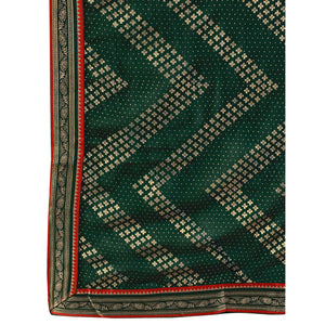 green-foil-printed-chiffon-saree-with-lace-border-5