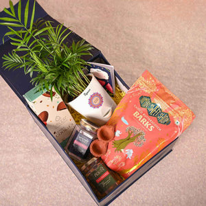 Bamboo Palm Plant & Bombay Sweet Shop Diwali Gift Hamper