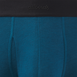 Men's Anytime Boxer Brief - Basin Blue
