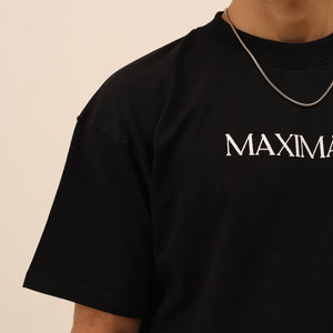 The Bitcoin Maximalist