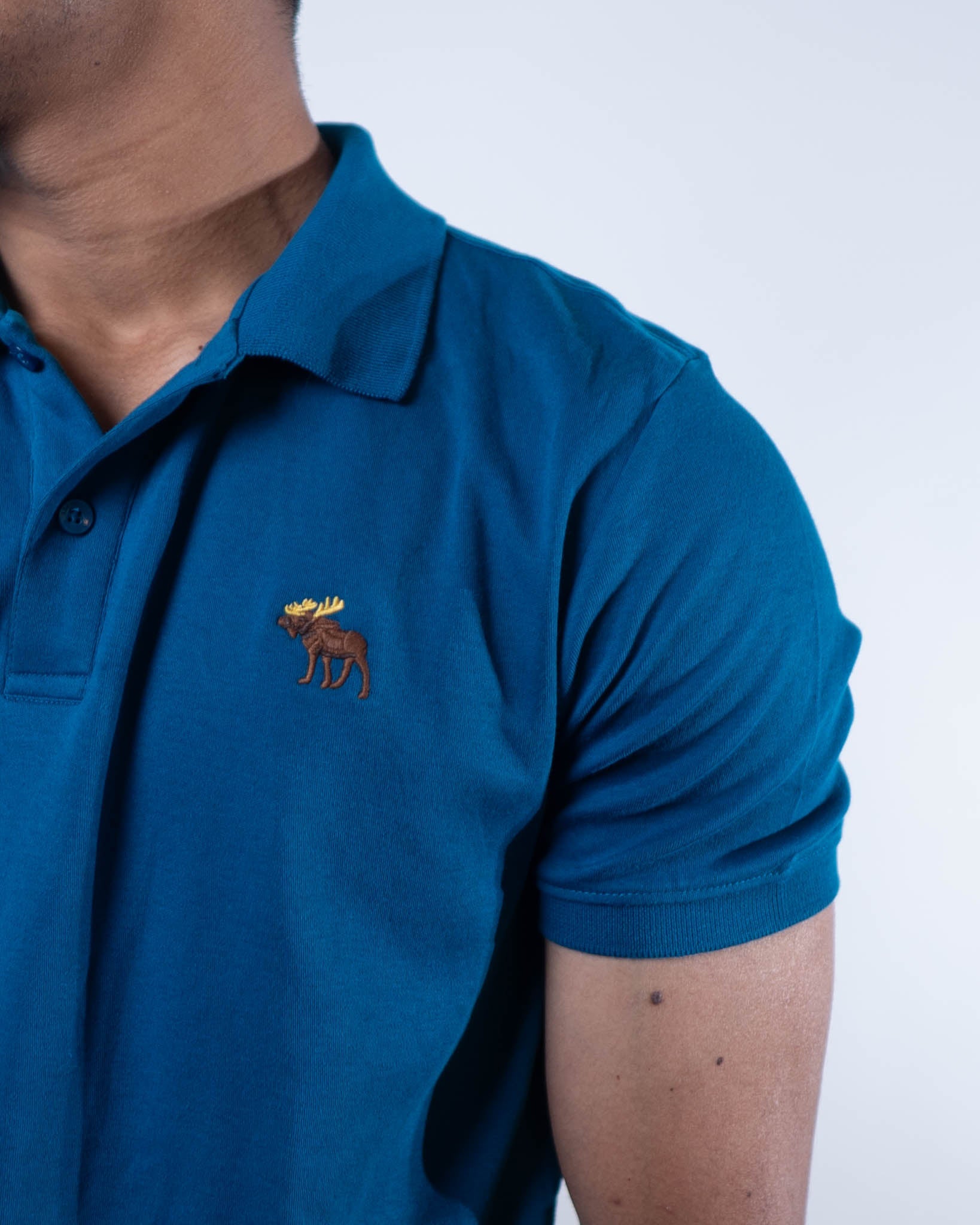 Abercrombie & Fitch Tonal Icon Don't Sweat it Polo T-Shirt