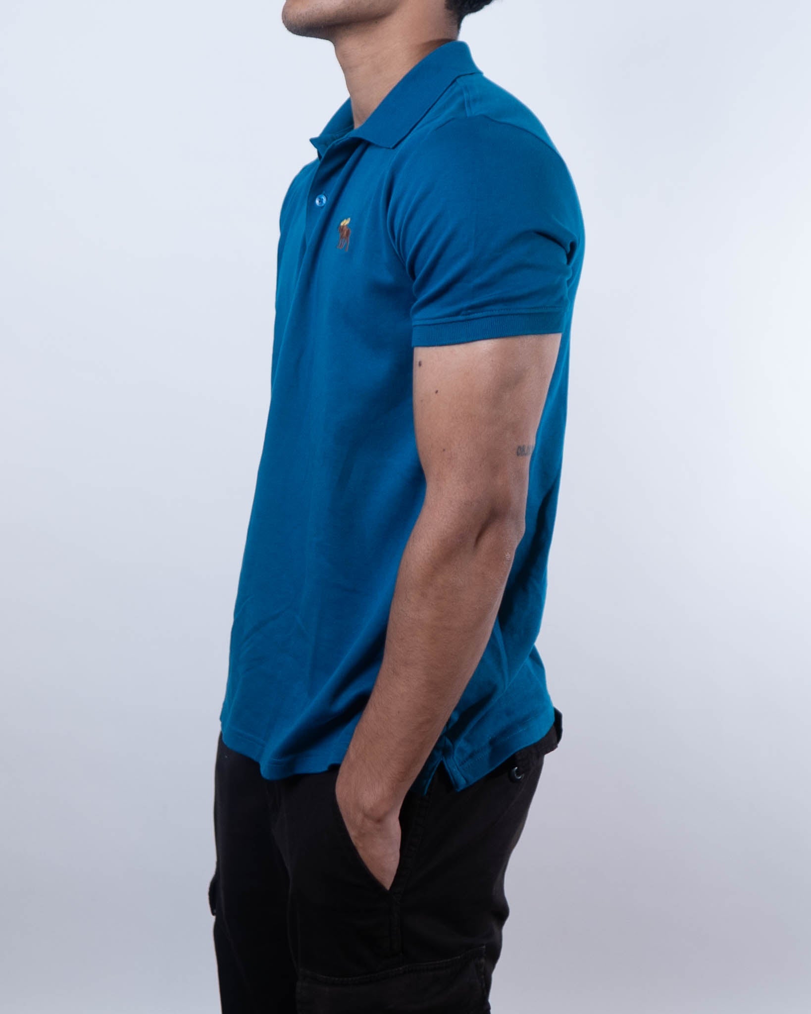 Abercrombie & Fitch Tonal Icon Don't Sweat it Polo T-Shirt