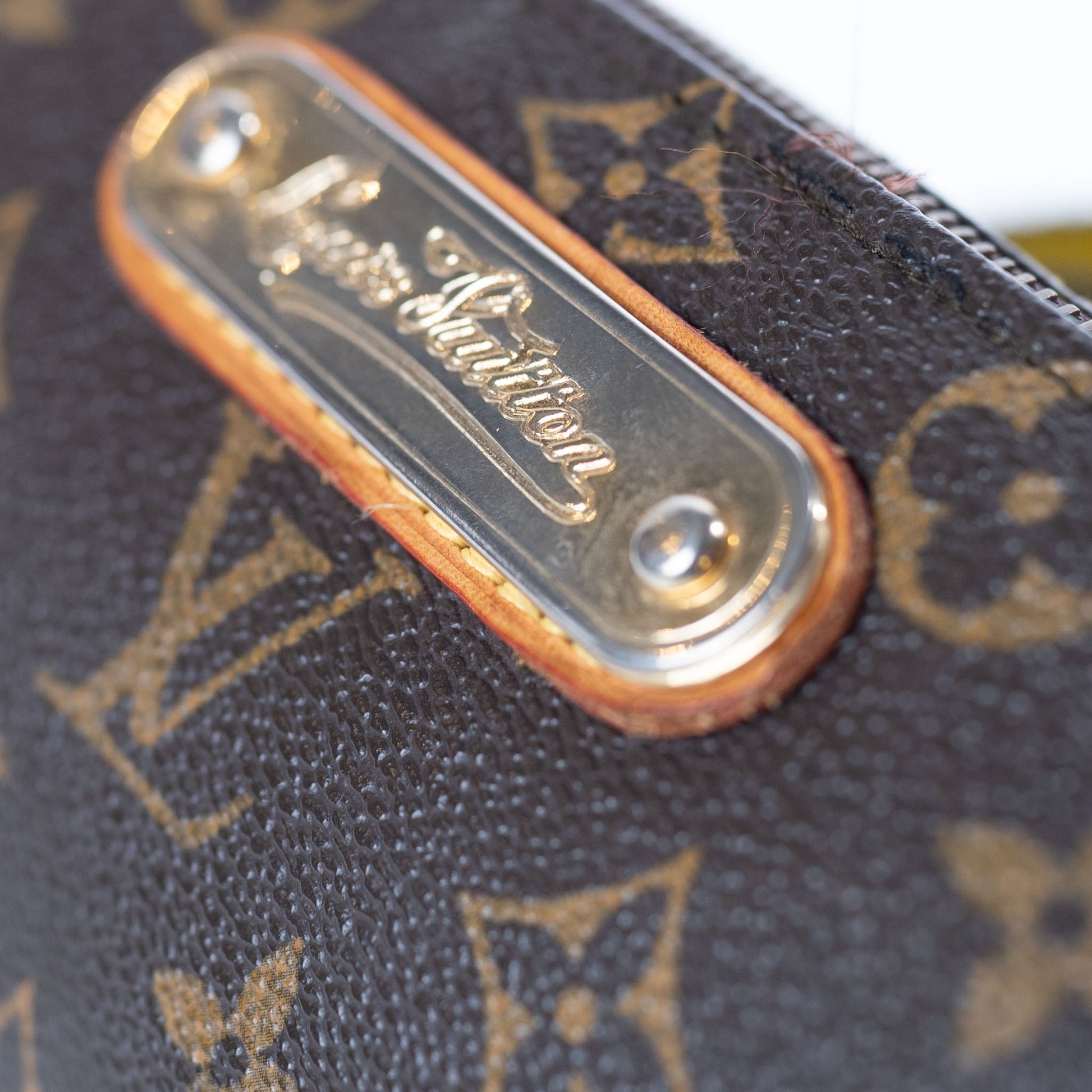 Louis Vuitton Eva Monogram Shoulder Bag