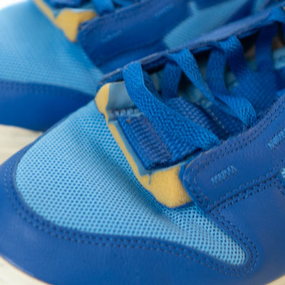 Nike Dunk  Air Jumbo University Blue