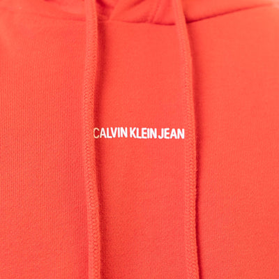 Calvin Klein Logo Hooded Sweatshirt