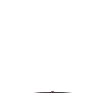 Alberta Ferretti Striped Buckle Belt