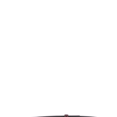 Alberta Ferretti Striped Buckle Belt
