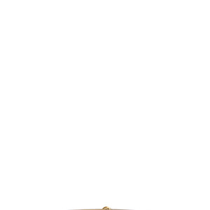 Fabiana Filippi Knot Buckle Belt