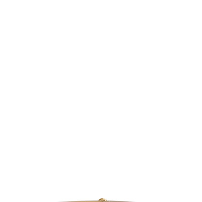 Fabiana Filippi Knot Buckle Belt