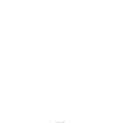 Lemaire Almond Stud Belt