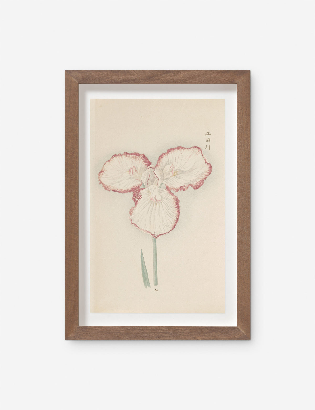 Vintage Japanese Iris No. 30 Wall Art by Miyoshi Manabu
