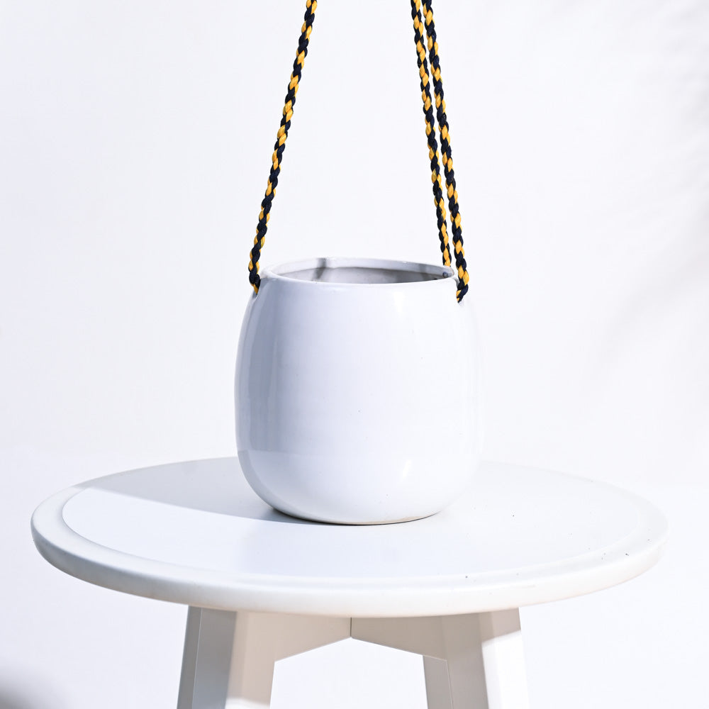 Ladybug Handmade Ceramic Hanging Planter