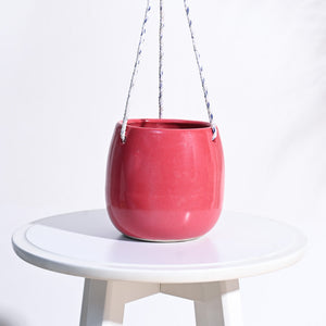 Ladybug Handmade Ceramic Hanging Planter