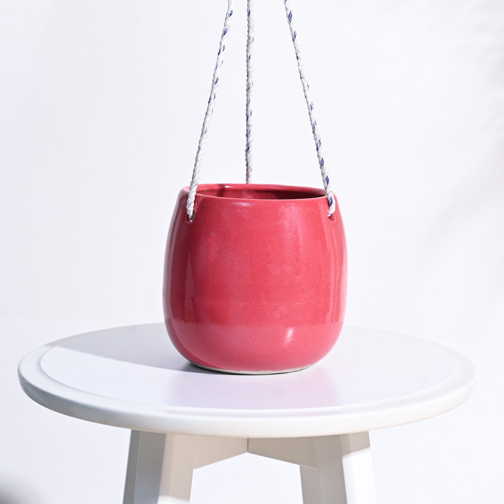 Ladybug Handmade Ceramic Hanging Planter