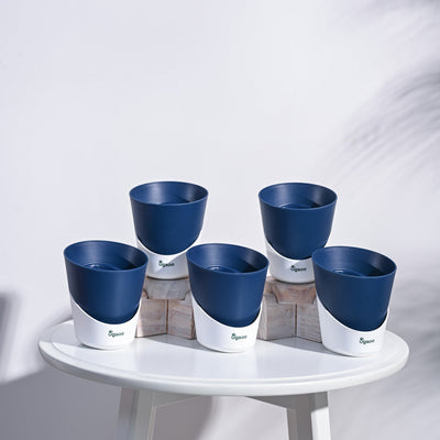 Atlantis Self Watering Planter - 4 Inch (Set of 5)