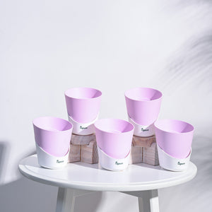 Atlantis Self Watering Planter - 4 Inch (Set of 5)